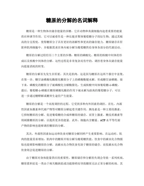 糖原的分解的名词解释