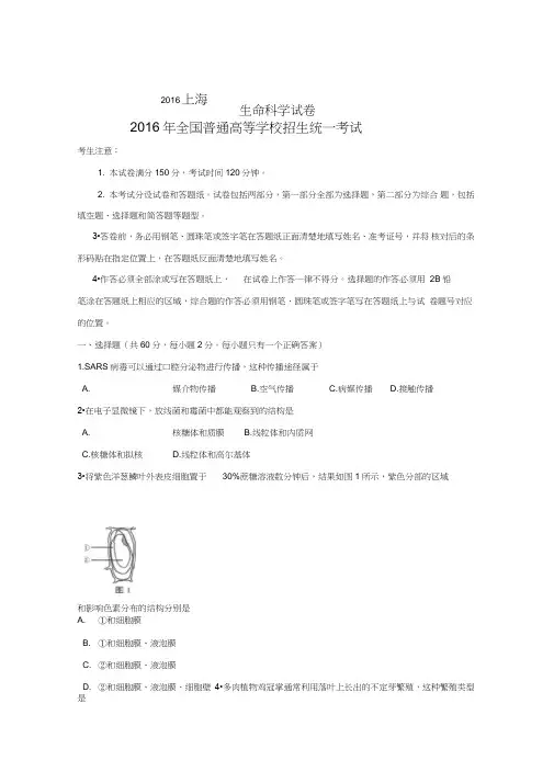 (word完整版)2016年上海高考生物试卷、答案(清晰版)汇总,推荐文档