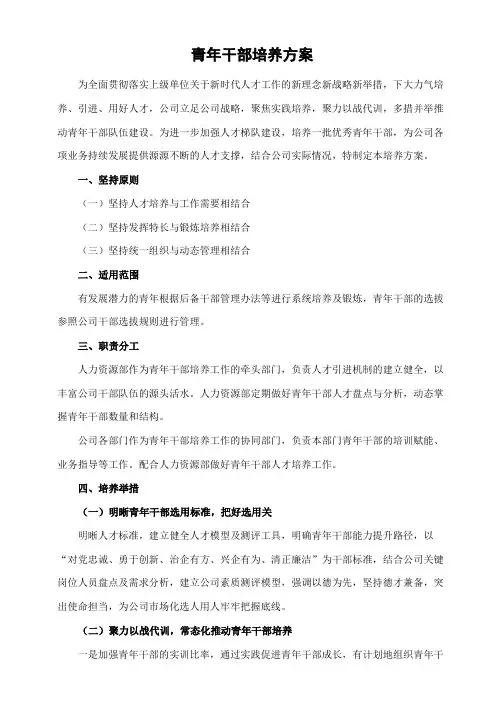 公司青年干部培养方案