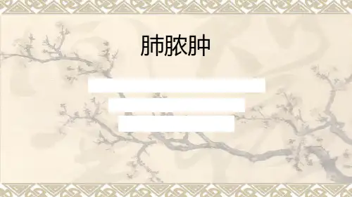 8.肺脓肿PPT