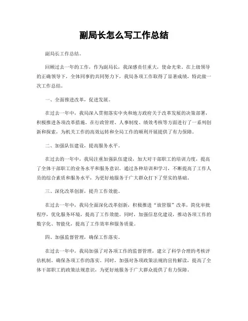 副局长怎么写工作总结