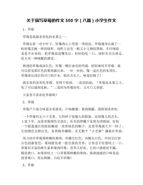 关于描写草莓的作文300字(八篇)小学生作文