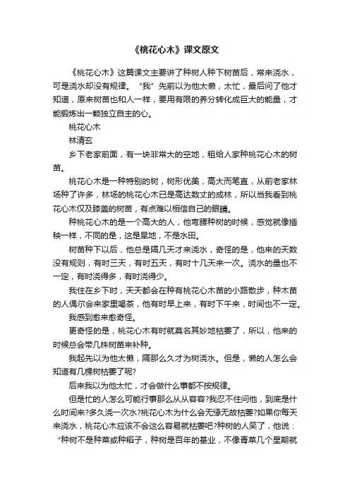 《桃花心木》课文原文