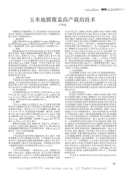 玉米地膜覆盖高产栽培技术