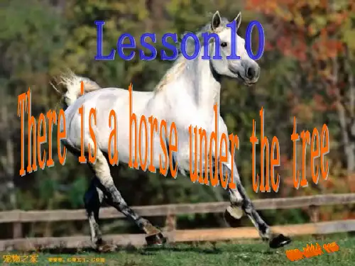科普版五年级上册Lesson 10 There is a horse under the tree。