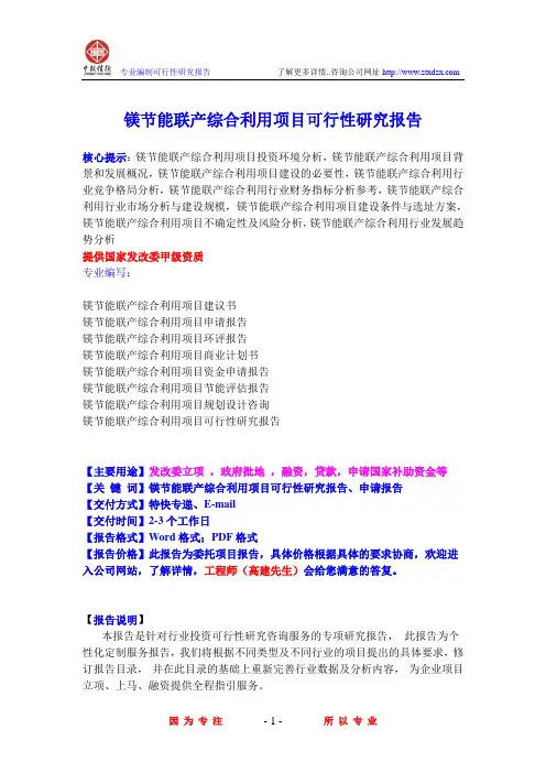镁节能联产综合利用项目可行性研究报告