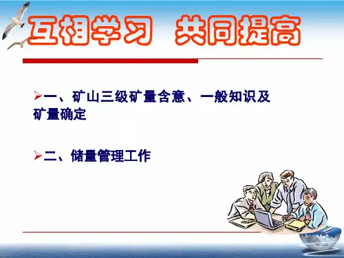 矿山储量管理PPT课件
