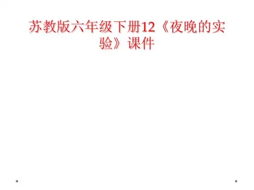 苏教版六年级下册12《夜晚的实验》课件
