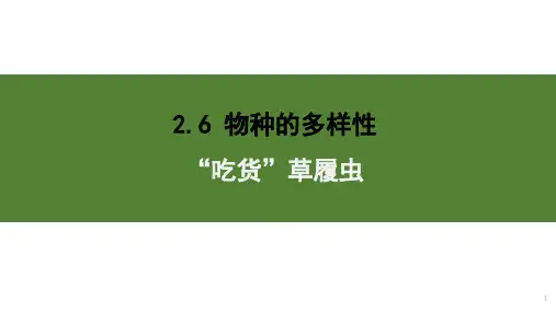 初中生物课件：“吃货”草履虫