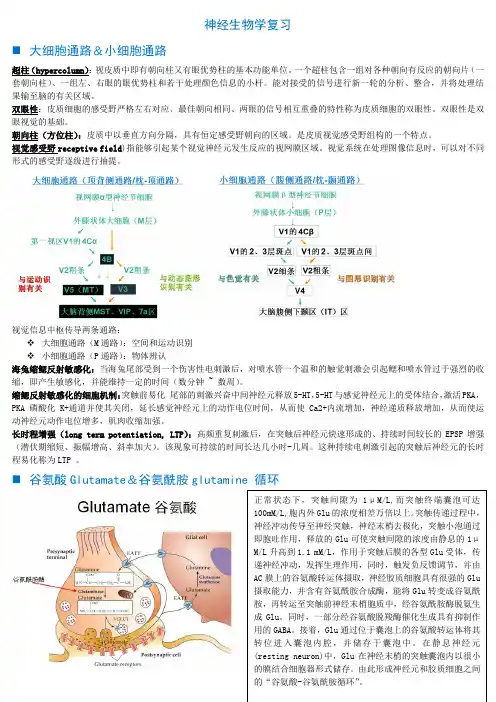 神经生物学复习