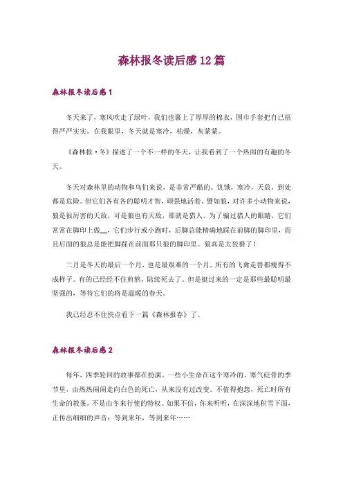 森林报冬读后感12篇