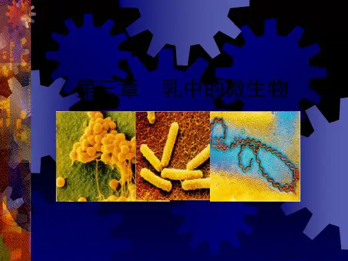 2.1乳中微生物