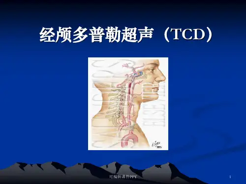 经颅多普勒(TCD)讲解ppt课件
