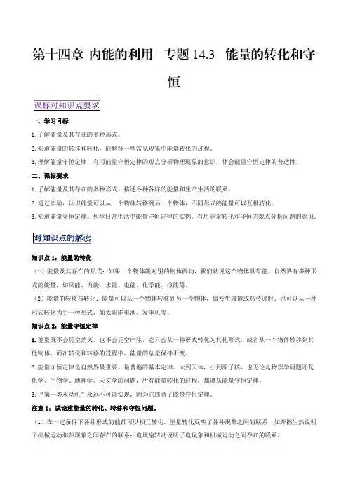 中考物理专题14.3能量的转化和守恒(解析版)