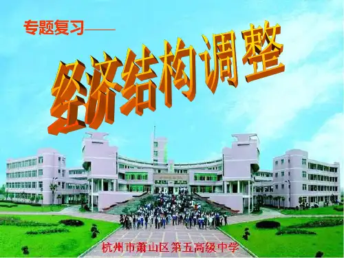 高三政治课件-经济结构调整 精品