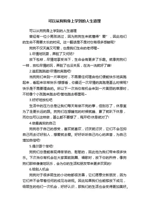 可以从狗狗身上学到的人生道理