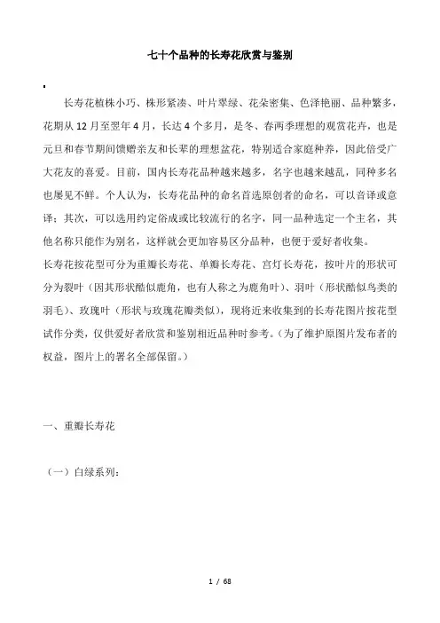 十个品种的长寿花欣赏与鉴别