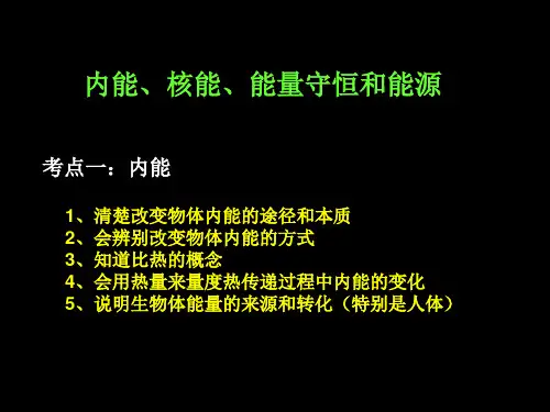 内能、核能、能的转化与守恒和能源