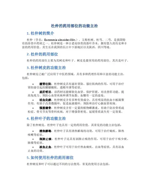杜仲的药用部位的功能主治