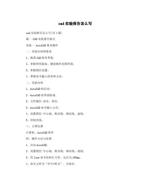 cad实验报告怎么写