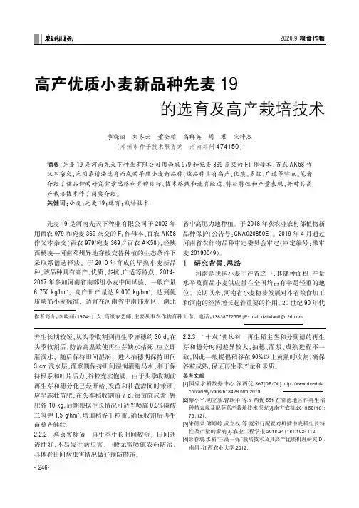 高产优质小麦新品种先麦19的选育及高产栽培技术