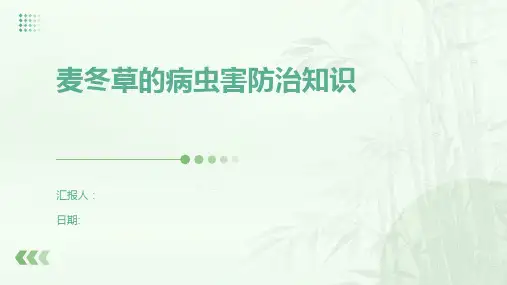 麦冬草的病虫害防治知识