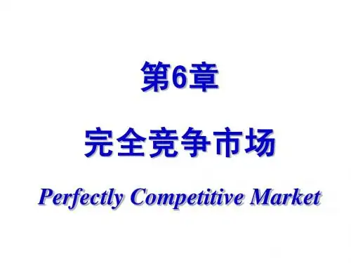 第6章  完全竞争市场