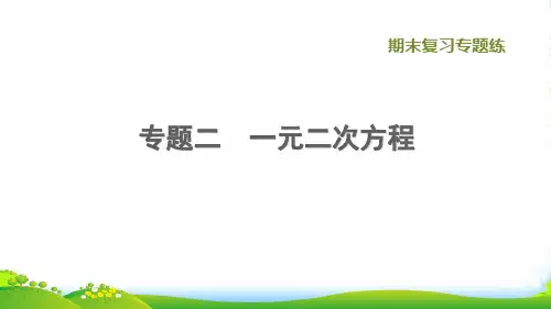 2022秋九年级数学上册期末复习专题练2一元二次方程习题课件新版冀教版