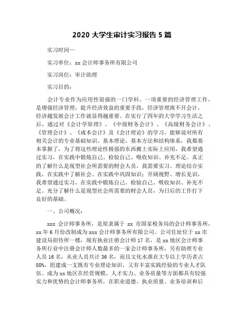 2020大学生审计实习报告5篇