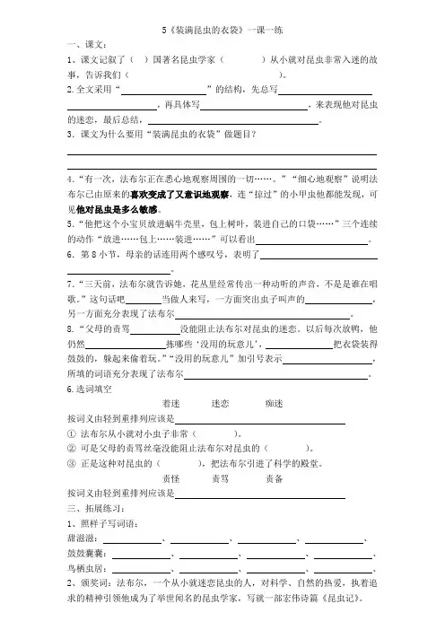 5《装满昆虫的衣袋》