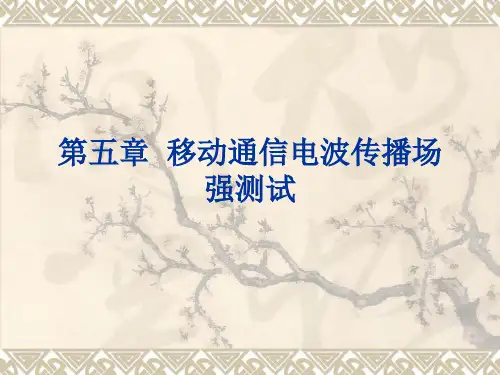 ch8-场强测试