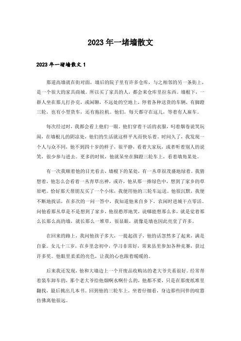 2023年一堵墙散文