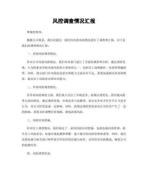 风控调查情况汇报
