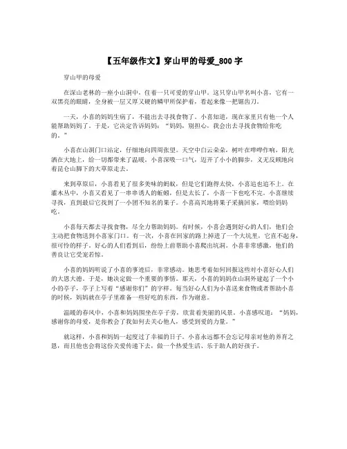 【五年级作文】穿山甲的母爱_800字