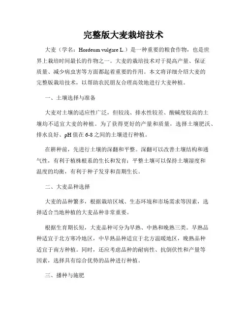 完整版大麦栽培技术