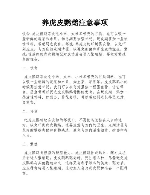 养虎皮鹦鹉注意事项