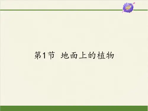 七年级生物下册课件-5.11.1 地面上的植物6-苏科版