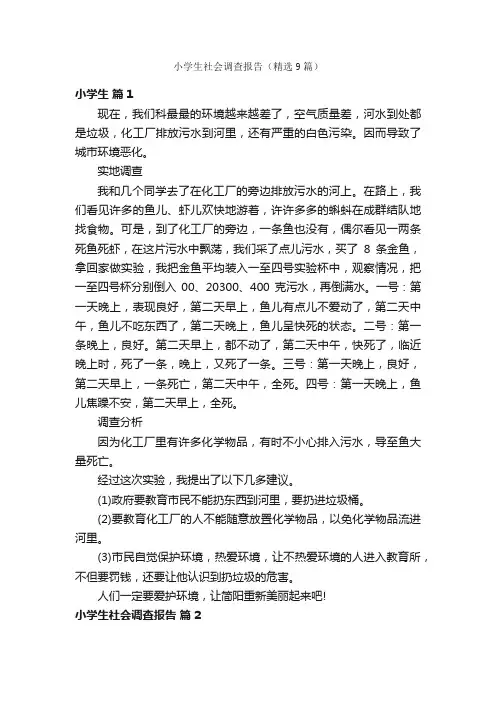 小学生社会调查报告（精选9篇）