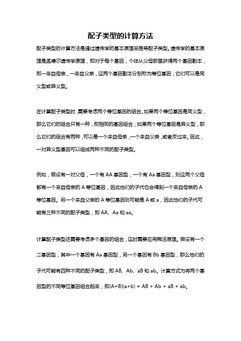 配子类型的计算方法