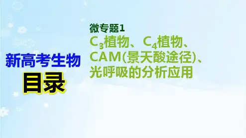高考生物二轮复习微专题1 C3植物、C4植物、CAM(景天酸途径)、光呼吸的分析应用