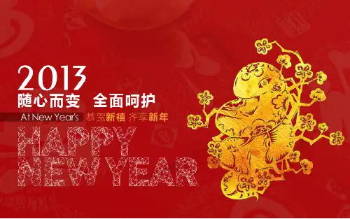 新华保险公司产品组合
