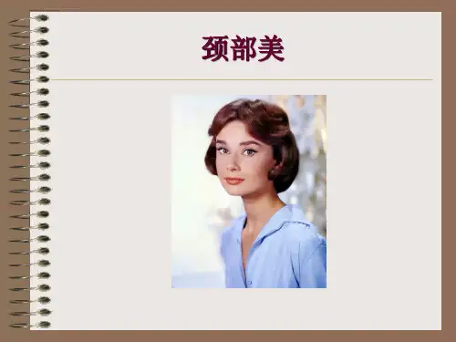 四肢和躯干美体型美ppt课件