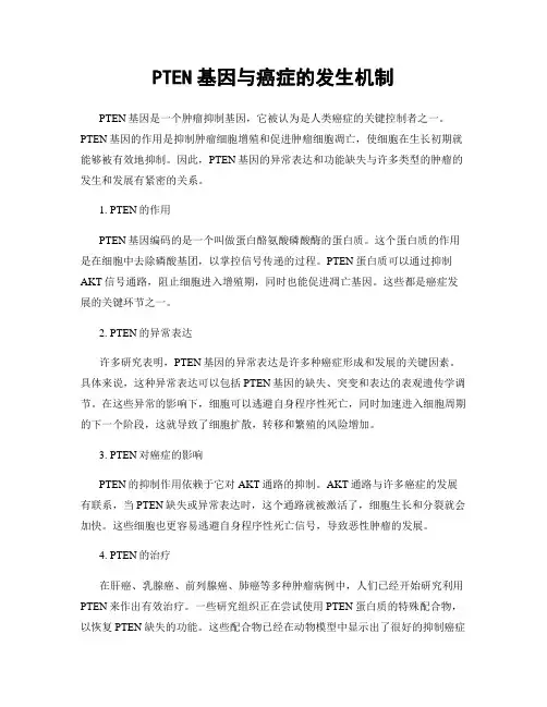 PTEN基因与癌症的发生机制