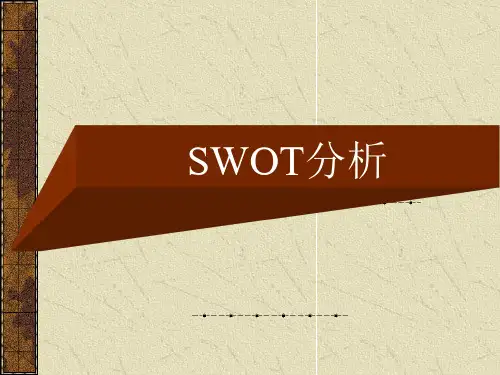 大众SWOT分析实例