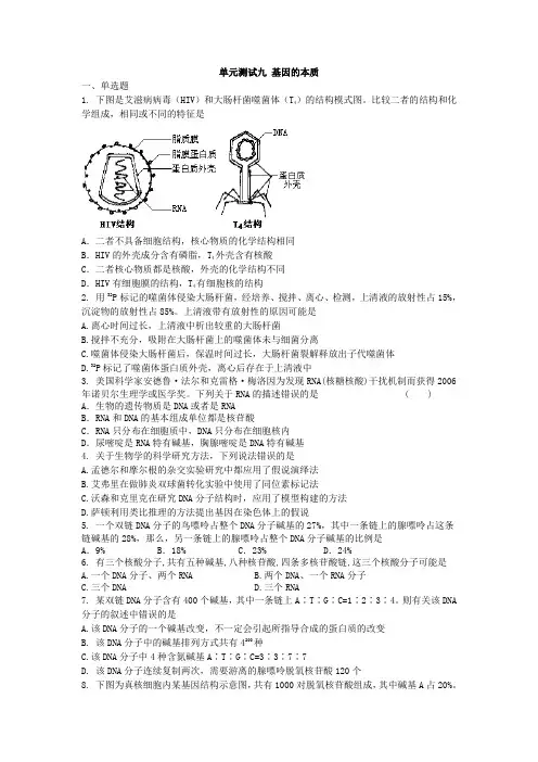 2012年高考生物单元测试题及答案：基因的本质