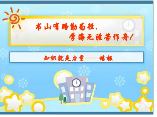 布料专业知识培训