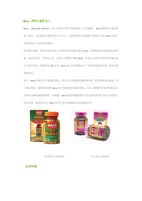 Maca (玛卡)是什么？