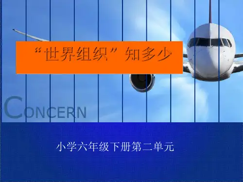 国际组织概述.ppt