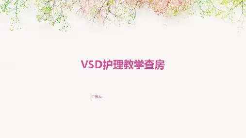 VSD护理教学查房