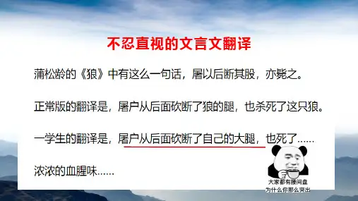 文言文翻译之两种意识(采分点意识和语境意识)2024高考语文一轮复习重难点专项突破(新高考通用)
